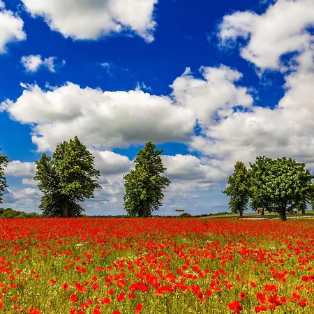 Doppelzimmer In Der Hotelanlage Tarnewitzer Hof